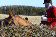 P1070678_Custom