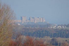 DSC05040_Custom