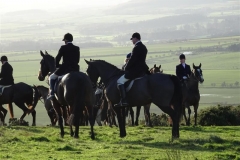 DSC02254_Custom