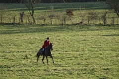 DSC03400_Custom