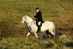 DSC03496_Custom