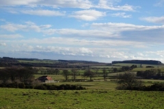 DSC05160
