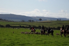 DSC02225
