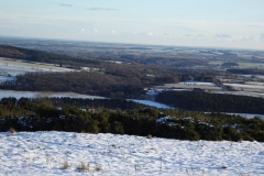 DSC04567