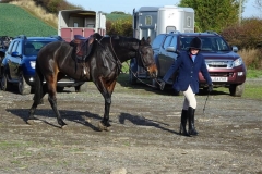 DSC01201_Custom