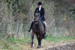 DSC01358_Custom