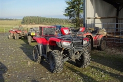 DSC05903_Custom