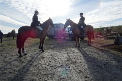 DSC05940_Custom