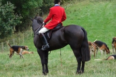 DSC00540_Custom