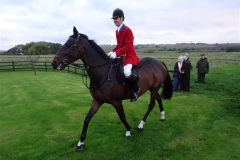 DSC00571_Custom