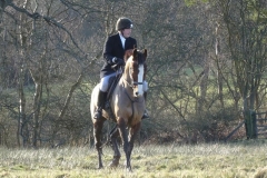 DSC01111_Custom