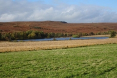DSC01120