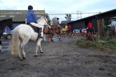 DSC00680_Custom