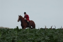 DSC00750_Custom