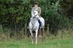 DSC00790_Custom
