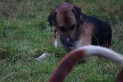 DSC01662_Custom