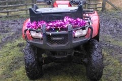P1000054_Custom
