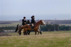 P1000166_Custom