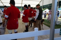 yorkshire show 11 july 18
