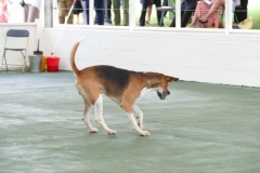 P1030601