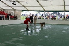 yorkshire show wed 10 july 2019