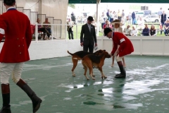 P1000589