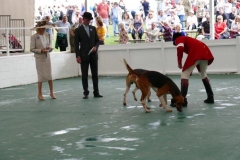 P1000630
