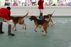 P1000644