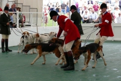 P1000650