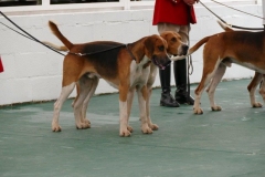P1000665