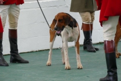 P1000680