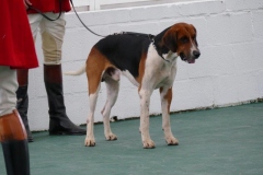 P1000681
