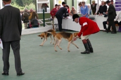 P1000709