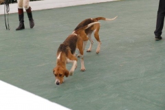 P1000711