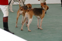 P1000724