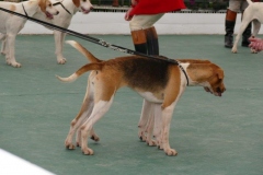 P1000725