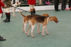 P1000728