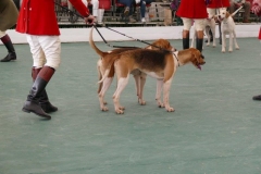P1000730