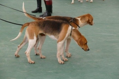 P1000732