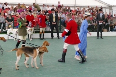P1000733