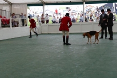 P1000738