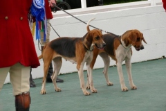 P1000742