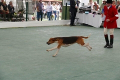P1000794
