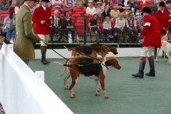 P1000797