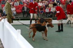 P1000798