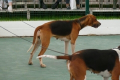 P1000803