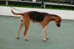 P1000804
