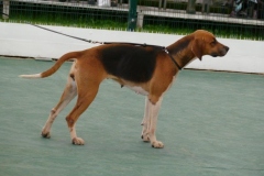 P1000806