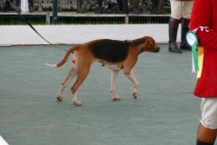 P1000808